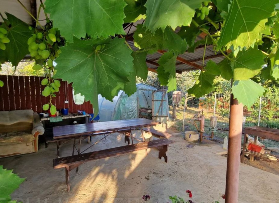 Гостевой дом У Сергея Пицунда, п. Алахадзы, Абхазия 2