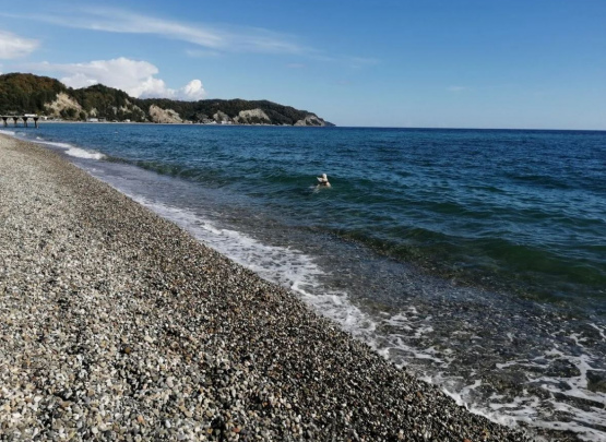 Гостевой дом  У Кирюши,  Гагры, Абхазия 2