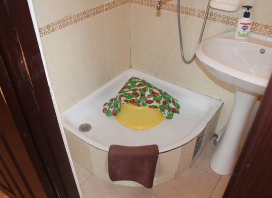 Гостевой дом 
