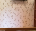 Villa Roza, гостевой дом 1