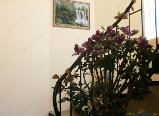 АЭЛИТА у моря 2