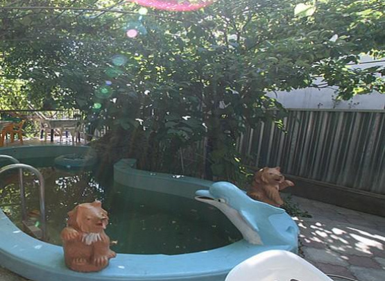 Гостиница «МОРСКАЯ ЗВЕЗДА»  Пос.Кабардинка 2