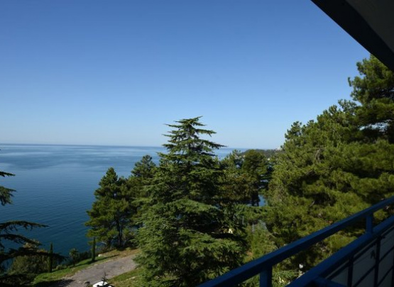 Парк-отель  «Небуг» (бывш.Ателика Небуг) 2