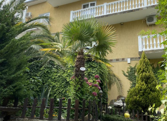 Отель «РОМАШКА  Адлер 2