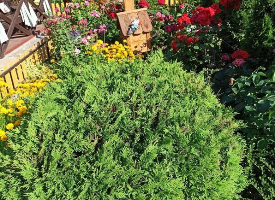 Гранат, Гостевой дом , Джемете 2