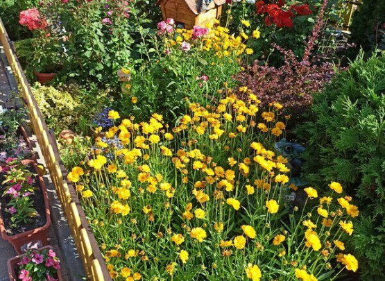 Гранат, Гостевой дом , Джемете 2