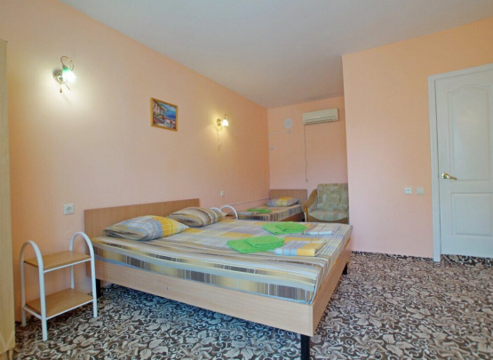 Анастасия Роз, Гостевой дом 2