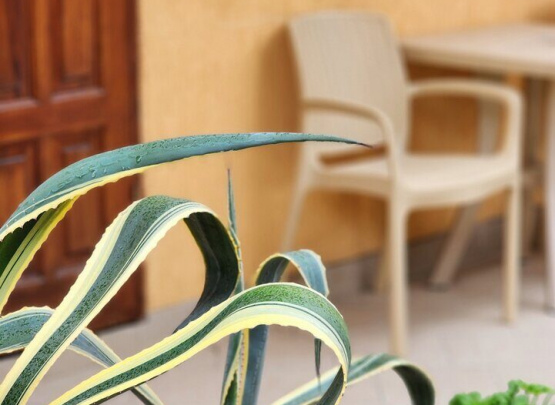 Алёна, Гостевой дом 2