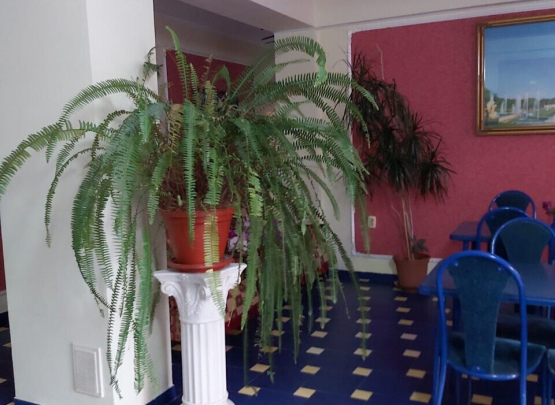 Летуаль, Частный отель 2