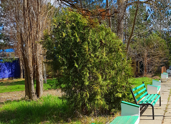 ДИНАМО-2, База отдыха, Джемете 2