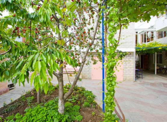 СВЕТЛАНА, Отель. Анапа. 2