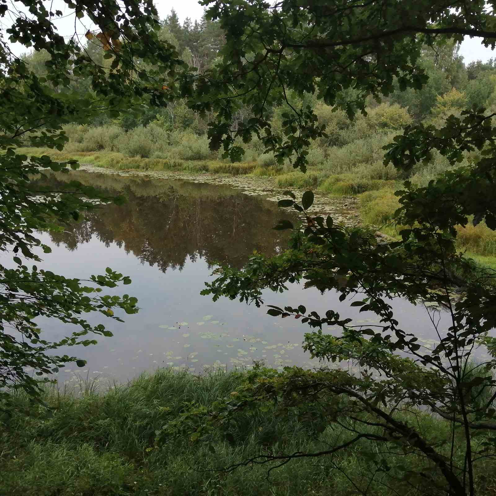 Экскурсия в природу 