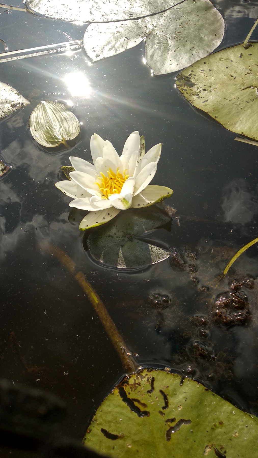 Экскурсия в природу 