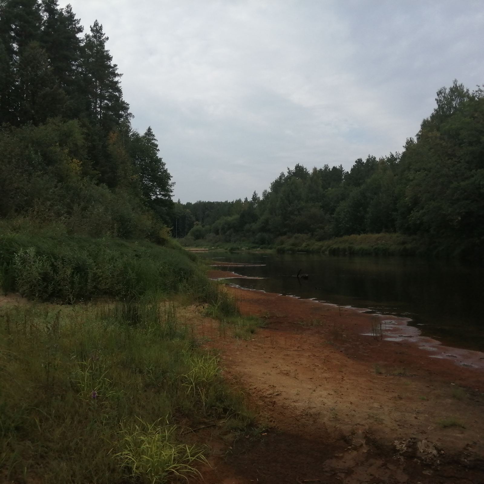 Экскурсия в природу 