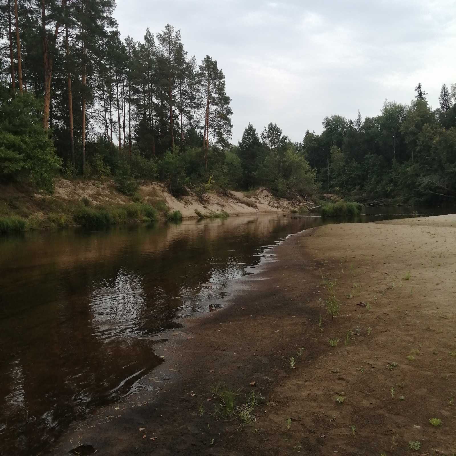 Экспресс-экскурсия 