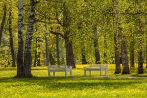 Львовка  (Посещение парка. Без посещения барского дома)