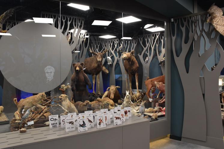 Музей «Природа» им. С.И.Трофимова Музейно-выставочный центр